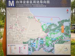 -白洋淀景区