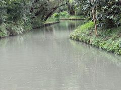 -同里国家湿地公园