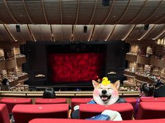 -交通银行前滩31演艺中心