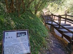 -广州白江湖森林公园