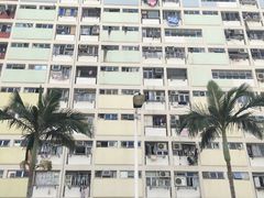 -彩虹村