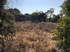 -韩湘水博园