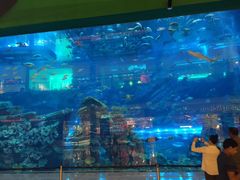 -迪拜水族馆及水下动物园