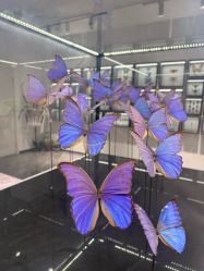 -酷嗒动物文化乐园(cutezoo西溪乐天城店)