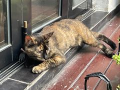 -EATALIA意塔利意式餐厅(鼓楼店)