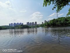 -重庆彩云湖湿地公园