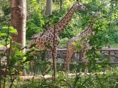 -北京野生动物园