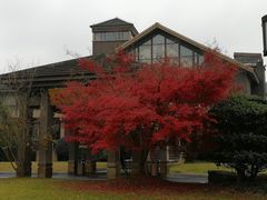 -千岛湖品鱼馆(钓鱼岛店)