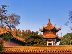 -戏马台景区
