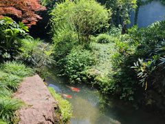 -中国茶叶博物馆(双峰馆区)