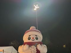 -沈阳奥体冰雪嘉年华