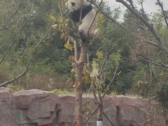 -盐城大丰港动物园