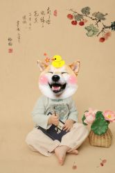 -蜜阁孕味亲子摄影(太奥广场店)