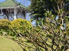-王借岗森林公园