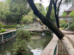 -碧江金楼