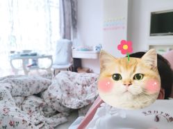 -宝生月子中心(独栋园林·福田店)