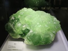 -湖南省地质博物馆