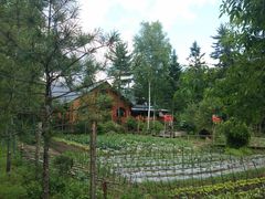 -五营红松林海景区