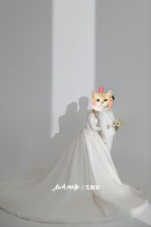 点击看大图 -重庆三毛摄影