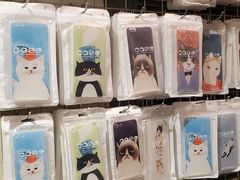 -猫咪博物馆(顶澳仔猫街店)