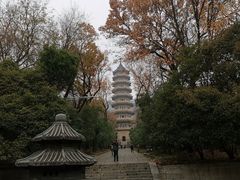 -灵谷景区
