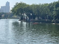 -荔湾湖公园