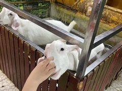 -上海大自然野生昆虫馆(东方明珠·爬宠昆虫探索中心)