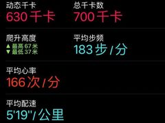 -天行健身＆天行拳馆跆拳道·格斗TXGYM