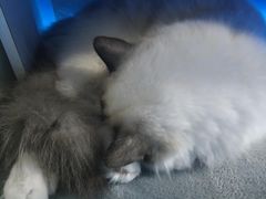 -零纪元VR体验馆·桌游(黄浦店)