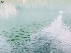 -靖西鹅泉风景区