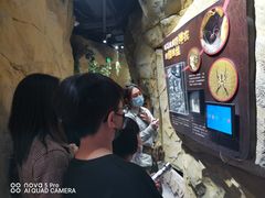 -MR.ZOO小小动物元室内动物园(沈阳沈河盛京中心)