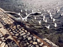 -大理无舍度假酒店