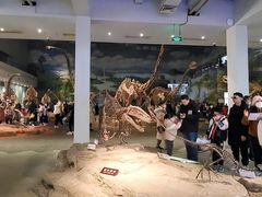 -自贡恐龙博物馆