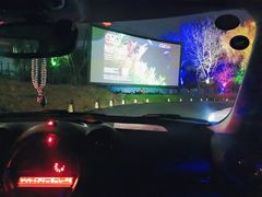 -枫花园汽车电影院(朝阳公园店)