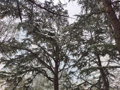 -中国人民解放军总医院