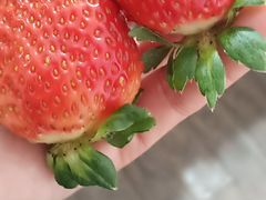 -Star Party Cake创意网红生日蛋糕(北碚店)