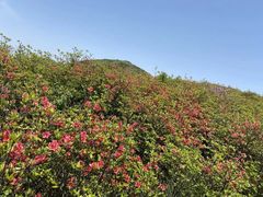 -大围山国家森林公园