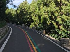 -佛慧山