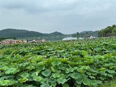 -南北湖风景区