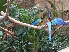 -杭州开元森泊度假乐园