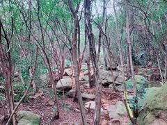 -灵岩山风景区