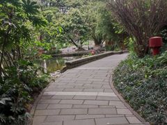 -成都市活水公园