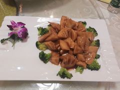 -丁老爷子苏香圆