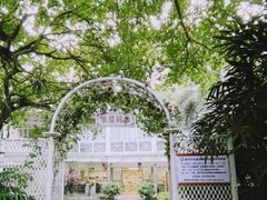 -东风公园