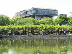 -嘉定紫藤园