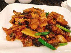 招牌焗叉尾鱼-美极鲜食坊(宝安南路店)