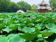 -莲池书院博物馆