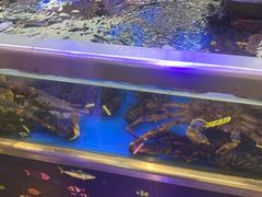 -盒马鲜生(大成店)