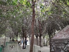 -勇士之星真人CS·团建·拓展(清水河公园店)