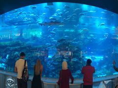-迪拜水族馆及水下动物园